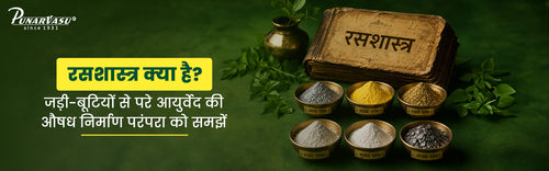 रसशास्त्र क्या है? जड़ी-बूटियों से परे आयुर्वेद की औषध निर्माण परंपरा को समझें